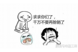 债权债务追收